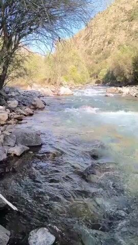 The video shows a close-up perspective of a fast-flowing river. The water is clear and appears shallow in some areas, with rocks visible beneath the surface. The riverbanks are lined with rocks and vegetation, including trees with sparse leaves, suggesting it might be early spring or late autumn. The sun is shining, casting a bright light on the scene and creating highlights on the water. The camera angle is low, close to the water's surface, and pans slightly to the right, following the flow of the river. The overall impression is one of a natural, untamed environment. There are no people or animals visible in the footage. The sound of rushing water accompanies the video.