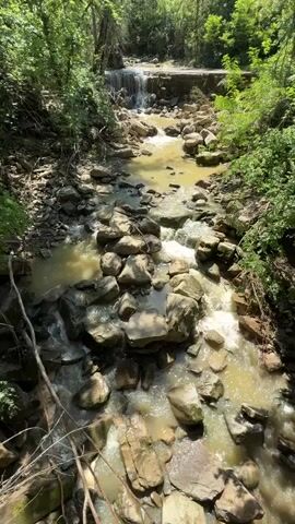 The video shows a rocky creek flowing downhill beneath a canopy of green trees. At the top of the frame is a short, wide waterfall structure over which the creek cascades. The water is turbid. The creek bed is covered in variously sized rocks, with small patches of whitewater marking the faster flow of the water over the rocks. There are fallen branches on the sides and in the creek bed. A bird chirps during the video.