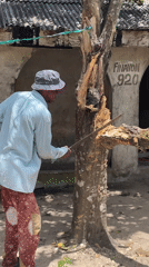 Tree cutting activity documented in Badagry residential area