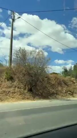 The video appears to be taken from inside a moving vehicle, possibly a car, driving alongside a road. The scenery outside includes a sunny sky with scattered white clouds. The roadside features a grassy bank with some trees and bushes. Occasionally, utility poles and an abandoned building covered in graffiti come into view. The road itself is visible along with striped road markers. The camera seems to be focused on the scenery outside the window. There are no visible people inside or outside the vehicle. The video is accompanied by music.