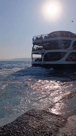 Istanbul ferries on the Bosphorus, docked and underway