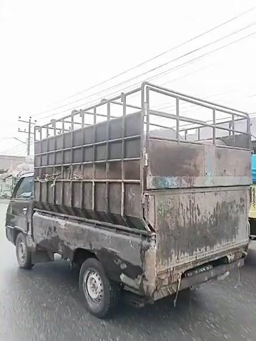The video shows a stationary black pickup truck with a large, gray, gridded cage on its bed. Inside the cage, a brown animal, likely a cow, is visible. The truck appears dirty, with mud splattered on its sides. The environment is overcast, with utility poles visible in the background. The camera pans slightly across the side of the truck, focusing on the caged animal.