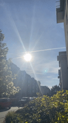 Afternoon scenes: sleeping cat and contrail-crossed skies over city