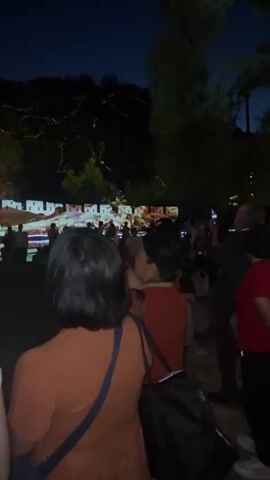 Here is a description of the video: 

The video shows a crowd of people at night, gathered to watch a light show projected onto a building and the surrounding area. The building appears to be part of a historic structure, possibly a wall. Above the wall, on a hill, there is a pagoda lit up with spotlights. The people in the crowd are of various ages and are facing the light show, some with their phones up taking pictures. The environment includes trees, and the overall ambiance is that of a public event.
