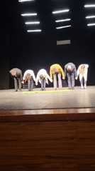 Theater performance concludes with group bow in Plovdiv