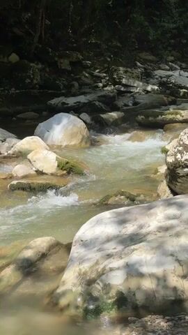 The media file depicts a serene natural scene of a shallow, clear river flowing through a rocky gorge in Khostinskiy, Russia. The water, a light green hue, gently cascades over smooth, white and beige rocks, some of which are partially submerged and covered in moss. Sunlight filters through the dense, green foliage of trees that line the steep, rocky banks of the gorge, casting dappled shadows on the water and stones. The overall impression is one of tranquility and natural beauty, suggesting a warm, sunny day. There are no people or man-made objects visible. The focus is entirely on the untouched, natural landscape, emphasizing the peaceful movement of the water and the textures of the rocks and vegetation. The time of day appears to be midday, given the bright sunlight and the contrast between light and shadow. The location cues, like the lush vegetation and rocky terrain, are consistent with a forest or mountainous region. The atmosphere conveyed is one of calm and natural serenity. There is no visible text in the media file.