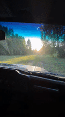 Driver navigates old car through sunlit field in Zhigalki