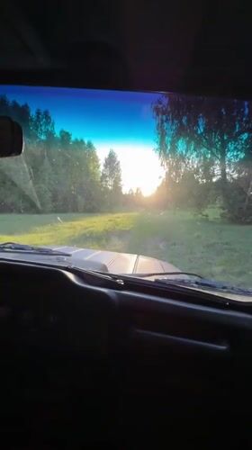 Driver navigates old car through sunlit field in Zhigalki