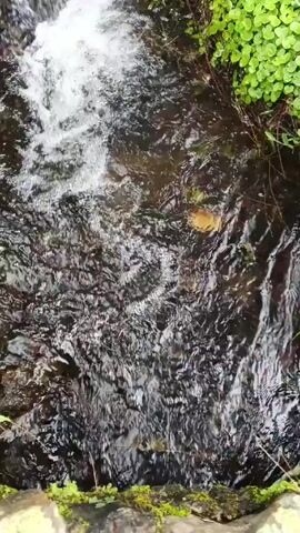 The video shows a small stream flowing between grassy banks. The water is dark but reflects sunlight, giving it a shimmering effect. The stream has a small waterfall feature where the water cascades down. Pieces of trash, including a blue plastic bag and a red and white wrapper, are visible in the stream.  The shot is a static, overhead view of the stream.