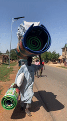 Cattle herd shares roads with daily life in Vom, Nigeria
