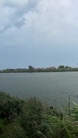 The video shows a wide body of water, likely a river or lake, under a cloudy sky. The water is choppy, indicating wind. On the near bank, tall green grasses and some palm fronds are visible, being blown by the wind. In the distance, across the water, is a tree-lined shore with some structures that appear to be buildings or homes. The overall atmosphere is overcast and possibly stormy. The camera pans slightly to the left and then to the right, offering a panoramic view of the scene. There are no people or animals visible in the video. The footage is recorded from a slightly elevated position, looking out over the water.