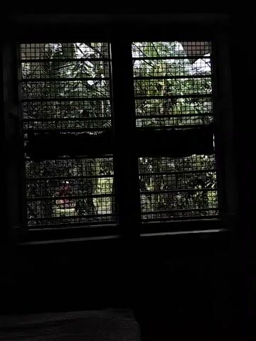A video shows a window with a barred grate. The window is divided into four panes by a central crossbar. Outside the window, there are trees and foliage, partially obscured by the bars and the dark interior of the room. The camera angle shifts slightly, tilting and rotating, as if the viewer is moving or the camera itself is being adjusted. The overall lighting is dim, with most of the scene cast in shadow, except for the light filtering through the window.