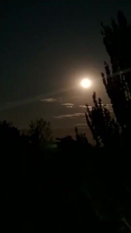 The video shows a moonlit night scene. A bright, full moon is visible in the dark sky, partially obscured by some clouds. In the foreground, silhouetted against the moonlight, is the dark foliage of a tree or trees. The overall impression is a dark, natural landscape under the glow of the moon. There are no people or discernible actions taking place. The lighting is low, typical of nighttime.