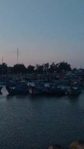 A static wide shot captures a serene harbor scene at dusk, with the sky displaying a gentle gradient from light blue to a pale orange on the horizon. A vast number of fishing boats of varying sizes, predominantly blue and some with red accents, are moored in the tranquil water. They are tightly packed, forming clusters that reflect in the water. The background features a silhouette of trees, buildings, and a tall communication tower, hinting at a coastal town or village. The water in the foreground is calm, with subtle ripples visible. A dark, rocky structure is partially visible in the bottom right corner of the frame. The overall atmosphere is peaceful and calm, suggesting the end of a day or the quiet hours before dawn.