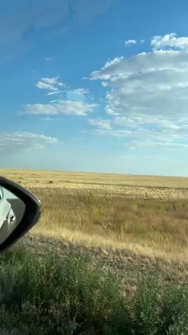 A car's side mirror is visible on the left side of the frame, reflecting the sky and some of the car's interior. Beyond the mirror, a vast, flat expanse of dry, golden grass stretches to the horizon. The sky is a brilliant blue, dotted with fluffy white clouds. A faint white contrail from an airplane is visible in the upper left quadrant of the sky. The lighting suggests it is daytime, likely late morning or early afternoon. The overall scene depicts a rural, possibly prairie or grassland landscape.