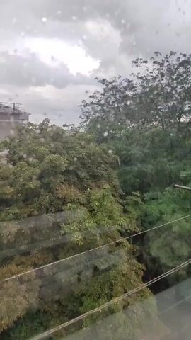A short, static video captures a view through a window during a rain shower. The windowpane is streaked with water droplets, some of which are in focus, distorting the view. Outside, a dense canopy of green trees fills the frame, with a building visible on the left edge. The sky is overcast and cloudy. Several horizontal wires run across the lower portion of the image.