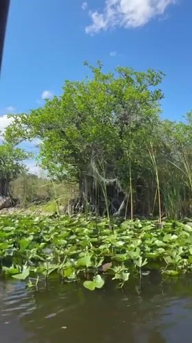 Boat journey documented through Florida wetlands in Weston