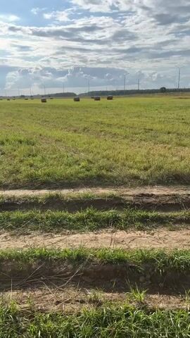 The video captures a wide, open field filled with green grass and several round hay bales scattered across it. A dirt road runs across the foreground of the image, with tire tracks visible. The sky above is partly cloudy, with the sun shining brightly and casting shadows. In the distance, a line of trees is visible, bordering the field. The overall scene conveys a sense of rural landscape and agricultural activity.