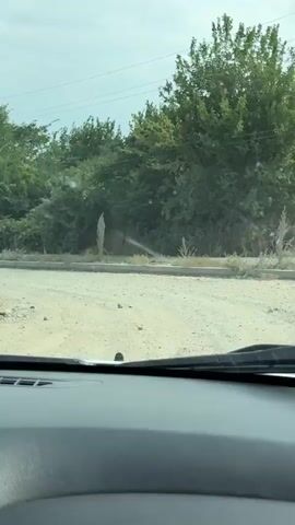 The media captures a view from inside a vehicle, looking out through the windshield. The scene is a dusty, unpaved road bordered by a concrete curb and overgrown vegetation. In the background, dense green trees line the landscape, with a faint blue structure partially obscured by the foliage. A small, clear decorative object containing a miniature boat and liquid sits on the car's dashboard.

The activity appears to be a car journey, with the camera perspective suggesting movement. The sky is overcast, indicating a potentially cloudy or hazy day, with no direct sunlight visible. The overall setting suggests a rural or semi-developed area, possibly on the outskirts of a town or village. There are utility poles with power lines visible in the distance, and a few sparse, dry plants dot the roadside.

At 00:04, a yellow construction vehicle is visible in the distance, along with what appears to be a lone figure walking. The presence of the construction vehicle might suggest ongoing development or maintenance work in the area. No discernible text is visible in the media. The overall mood is neutral, documenting a simple journey through a somewhat undeveloped landscape.