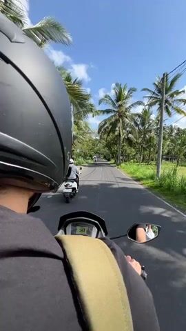 A first-person perspective video captures a motorcycle ride along a road lined with palm trees and lush greenery under a bright blue sky. The rider, wearing a black helmet and a backpack, is seen from behind, with their hands on the handlebars. The motorcycle's digital display shows a speed of 51. In the distance, other motorcycles can be seen on the road, and a white scooter is passing on the left side of the frame. Sunlight filters through the leaves, casting dappled shadows on the asphalt.