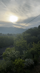 Morning garden blooms and fresh berries captured in rural Italy