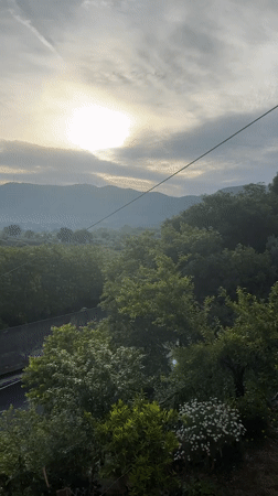 Morning garden blooms and fresh berries captured in rural Italy