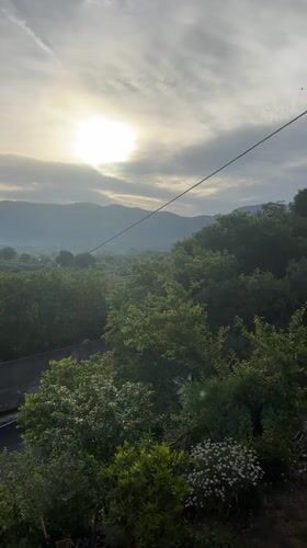 Morning garden blooms and fresh berries captured in rural Italy