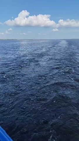 The video shows a body of water, likely an ocean, from the perspective of a moving boat. The water is a dark blue and the boat leaves a frothy white wake behind it. The sky is blue with a few fluffy white clouds. The horizon is visible in the distance, appearing as a thin line where the water meets the sky.