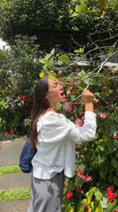 Early morning botanical garden exploration in Indonesian highlands