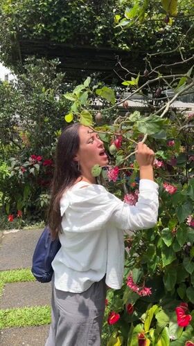 Early morning botanical garden exploration in Indonesian highlands