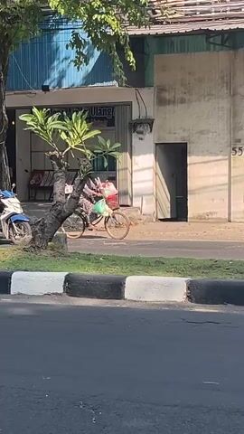 The video shows a street scene with a building in the background and a road in the foreground. Two people on a motorcycle are riding past the building. They are wearing helmets. Behind them, a person on a bicycle is also riding past. This person is carrying bags and a crate on their bicycle. The building has a number 55 on it. The weather appears to be sunny.