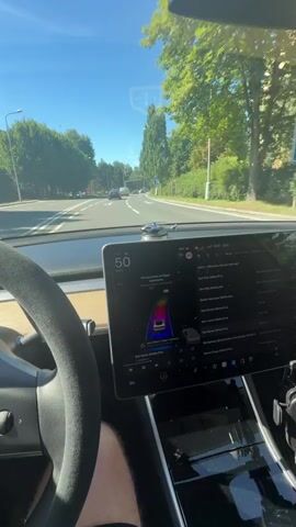 The video shows the interior of a Tesla vehicle driving down a tree-lined street on a sunny day. The driver's hand is visible on the steering wheel. The car's touchscreen display shows the speed as 50 and displays a visualization of the car's surroundings, including other vehicles. The road ahead has traffic lights and buildings lining the sides. The car appears to be in autonomous or assisted driving mode.