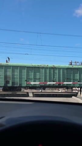 A train is passing by from the perspective of someone in a car, stopped at a train crossing. The train cars are various colors including green, burgundy, and blue, with various containers on them. Above, power lines stretch across the sky. It is a bright, clear day with a blue sky.
