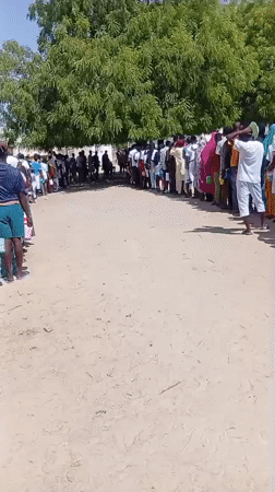 Queue forms near tree as people gather in Maiduguri