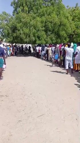 Queue forms near tree as people gather in Maiduguri