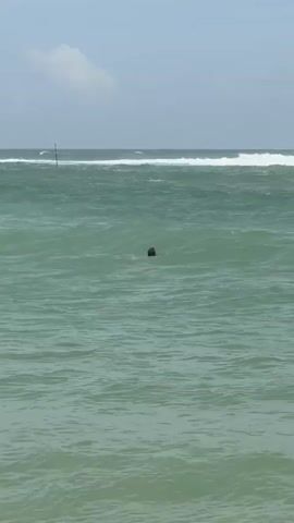 A person wearing a dark cap is swimming in the ocean. The water is green and choppy with waves. A thin pole is visible in the distance, and the sky is cloudy.