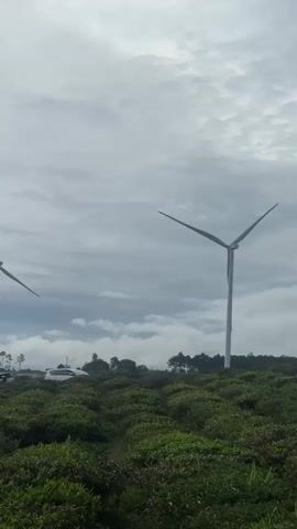 The video showcases a landscape under an overcast sky, dominated by layers of clouds. Two wind turbines are partially visible in the foreground and right side of the frame. The land is covered in a dense, green ground cover, possibly tea bushes, interspersed with trees. Several cars are parked near some buildings in the mid-ground. Further in the distance, a mountain range is visible, its peaks obscured by the cloudy sky. The camera pans slowly to the right, revealing more of the landscape.