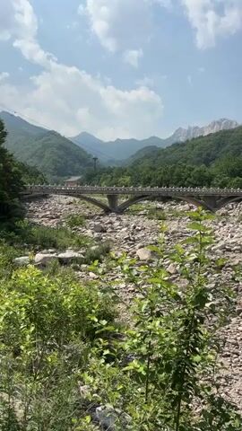 This media file showcases a scenic view of a dry riverbed filled with large rocks and pebbles, leading towards a lush, green mountainside under a bright, sunny sky. A long, arched stone bridge with decorative balustrades spans across the riverbed in the mid-ground. The mountains in the background are covered in dense forest, with some rocky peaks visible in the distance.

The scene suggests a natural landscape, likely in a mountainous region. The dry riverbed indicates a period of low water flow, possibly due to the season or recent dry weather. The clear blue sky with scattered clouds points towards a pleasant, daytime setting, likely mid-morning to late afternoon given the lighting. The presence of greenery suggests a temperate climate.

The overall mood is tranquil and serene, highlighting the natural beauty of the location. There are no people visible in the frame, emphasizing the untouched nature of the landscape. The focus is on the geological features of the riverbed, the architectural element of the bridge, and the vastness of the mountainous terrain.

The location cues, combined with the provided context, place this scene in Sokcho-si, South Korea, a region known for its mountainous national parks, such as Seoraksan National Park, which features similar landscapes. The bridge might be a historical or functional structure designed to cross the river, possibly for park visitors or local access. The foreground is occupied by some green foliage, adding a layer of depth and contrast to the rocky expanse.