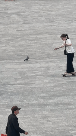 Everyday moments captured across Dmitrov parks and memorials