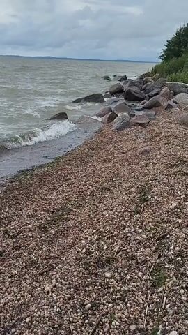 A short, shaky video shows a stony beach with waves crashing on the shore. The water is murky green, and the sky is overcast. There are large rocks scattered along the shoreline, and a line of trees is visible in the distance. The sound of the waves is audible.