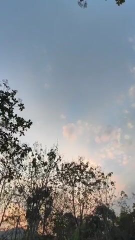 The video shows a time-lapse of the sky from a low angle, with trees silhouetted against it. The sky is a light blue and gradually transitions to a darker blue as clouds appear and change color from white to pink and orange, indicating sunset. The trees are bare in some areas and have leaves in others, suggesting it may be autumn or a transition period. There are no people or specific actions visible in the video. The environment appears to be a natural outdoor setting.