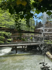 Bridge scenes captured along rushing river in Tsabal, Abkhazia