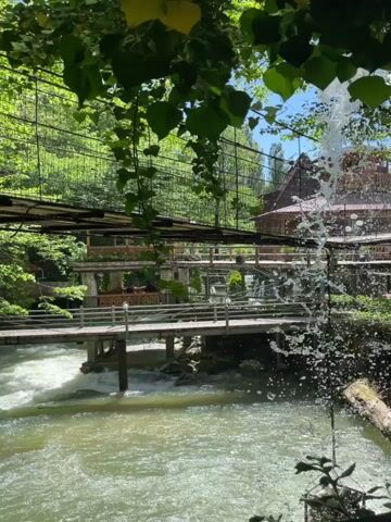 The shot features a vibrant natural scene dominated by a rushing river, observed through a leafy green frame. A bridge complex with multiple sections is visible, one part constructed with wooden railings and another portion with wire mesh. The river's current is swift, its surface appearing as white foam against the green-tinged water. A man-made fountain feature is visible on the right side of the frame, shooting water into the air and creating a blurred effect in the foreground. A wooden building with a red roof is partially visible in the background, hinting at human development within this natural setting. The sunlight filters through the dense green foliage, creating dappled lighting across the scene.