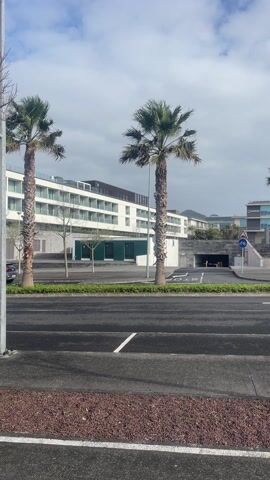 The video presents a static shot from ground level, showcasing a street scene with a large, modern white building in the background. Two tall palm trees flank the building, adding a touch of tropical atmosphere. A street runs across the foreground, marked with parking spaces and dividing lines. The left side of the frame features a few bare trees, their branches reaching towards the partly cloudy sky. Cars are parked along the street and driving by. A lamp post stands prominently on the left. The ground near the camera is covered in reddish-brown gravel. The overall impression is a calm, urban landscape with a mix of modern architecture and natural elements.