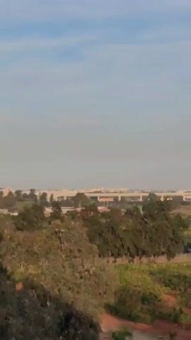 The video is a still, medium-range shot of a landscape. In the foreground, there are several trees with dense foliage in varying shades of green. Underneath the trees, the ground is covered with some vegetation, possibly crops. In the middle ground, a cityscape is visible in the distance, with what appears to be a highway or bridge spanning across it. The sky is a light blue, with a few scattered wisps of clouds. The overall lighting of the scene suggests it's daytime.