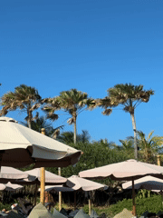 Relaxed morning beach hangout on North Kuta's black sand