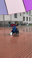 Rainy morning documented across central Saint Petersburg by witnesses
