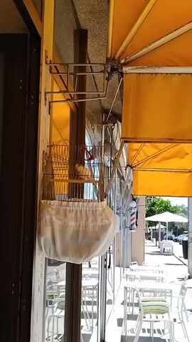This video shows a view from inside a building, looking out onto a street scene. In the foreground, a birdcage hangs from a metal bracket attached to a wall. The cage is mostly covered by a white cloth. Beyond the birdcage, through a glass window, tables and chairs are set up outside what appears to be a cafe or restaurant.

The street itself is visible, with a sidewalk, more tables and chairs, and some greenery. A barber pole is visible further down the street, indicating a commercial area. A few people are walking on the sidewalk. One person is a woman wearing a dark floral dress. Another person is a man wearing a black shirt and shorts. The general atmosphere suggests a sunny day, likely during daylight hours, given the bright light and shadows. The umbrellas over the outdoor seating area are yellow.

The overall scene depicts a pleasant, perhaps European, streetscape on a bright day, with a slightly unusual detail of the covered birdcage in the foreground.