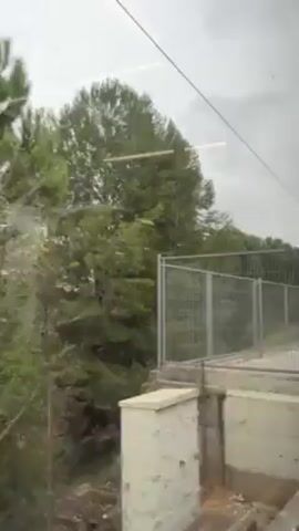 The camera records a view from inside a train moving past the countryside. Through the train window, trees and foliage are visible, alongside railway tracks and overhead power lines. The sky is overcast, and the overall tone of the video is neutral and observational.