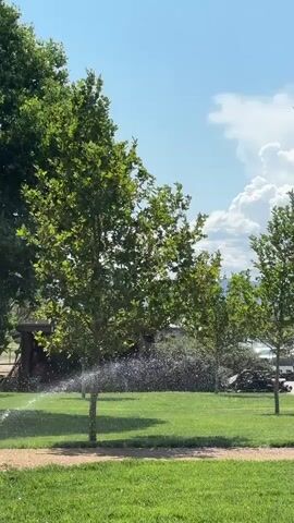 The video shows a green lawn with several trees. In the foreground, there is a sprinkler system watering the grass, creating a fine mist. In the middle ground, there are more trees and some structures in the background, including a trailer and a small building with graffiti. The sky is blue with fluffy white clouds. The scene appears to be outdoors on a sunny day.